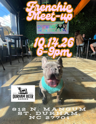 Frenchie Meet-Up at Durham Beer Garden