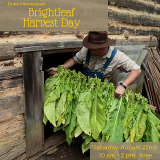 Brightleaf Harvest Day and BBQ Fundraiser at Duke Homestead