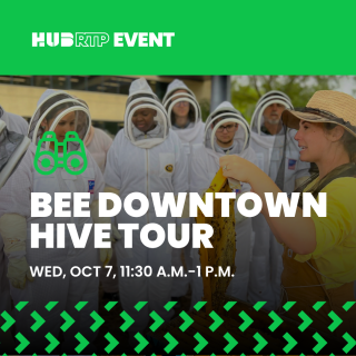 Bee Downtown Hive Tour