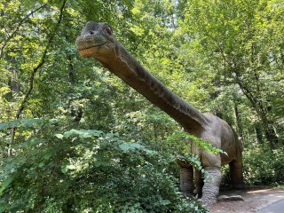 Museum of Life and Science