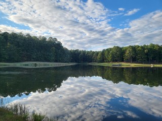 Durham County Wildlife Club