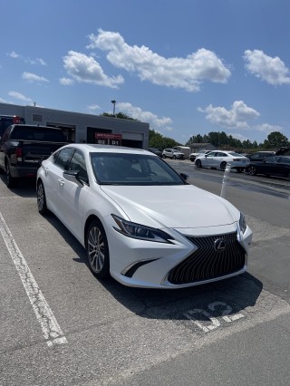 Avis Car Rental