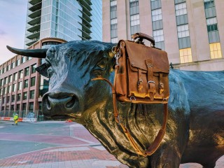 Major the Bull Sculpture