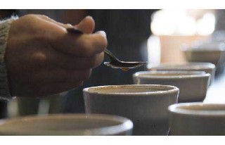 Counter Culture Tastings at Ten - Friday Mornings