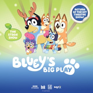 Bluey&#039;s Big Play