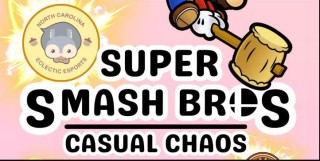 Casual Chaos 4 Person Silly Smash Bros. Ultimate Casual Video Game Competition
