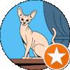 Demona 29