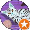 Catt Rina BHN