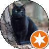qcat v