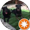 Onyx Patches