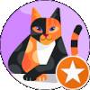 Catt Rina BHN