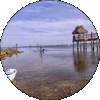 eugenewatkins109