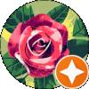 Lovely Rose7178