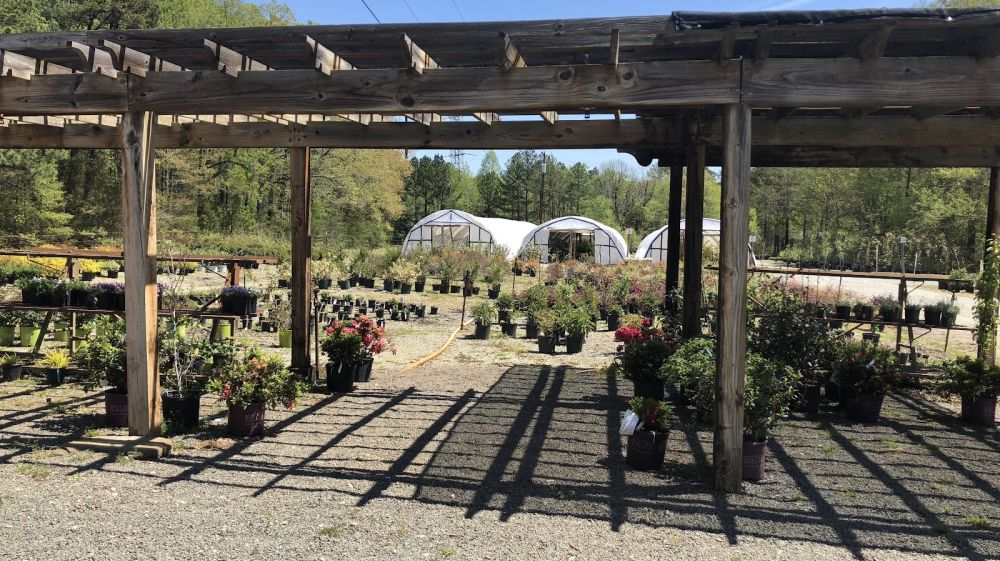 Red Mill Landscaping & Nursery