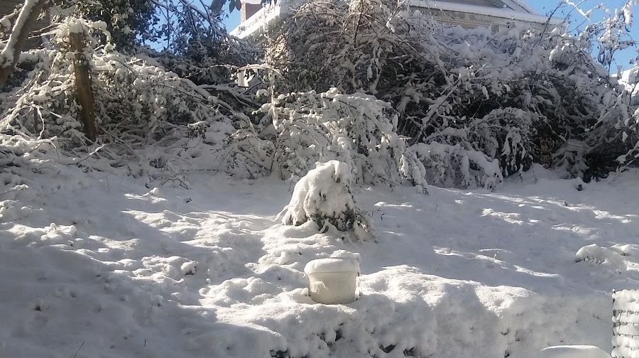 God's Holy Tabernacle