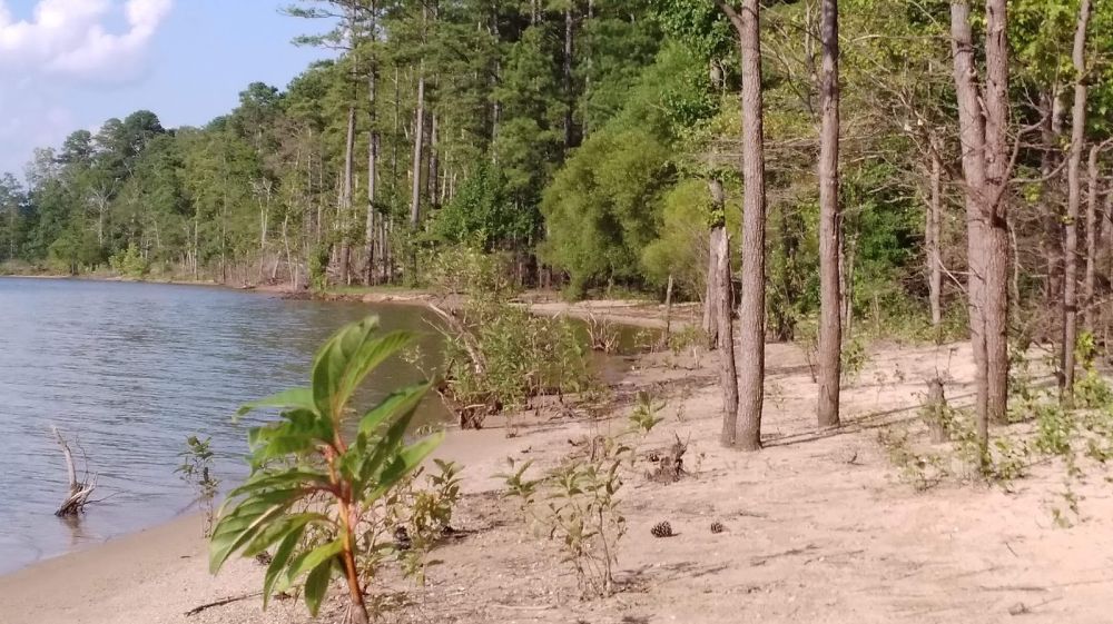 Jordan Lake State Recreation Area