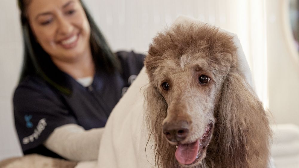 Petco