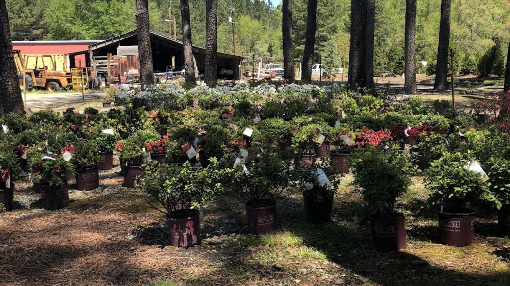 Red Mill Landscaping & Nursery