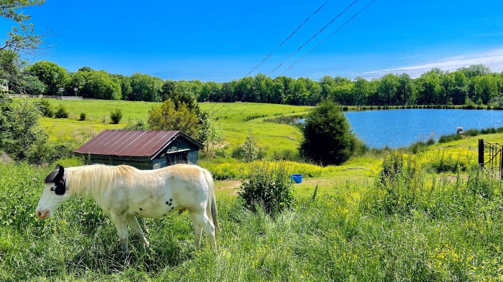 Waller Family Farm