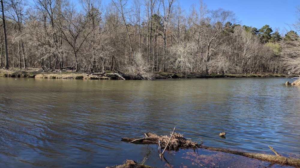 Whippoorwill Park