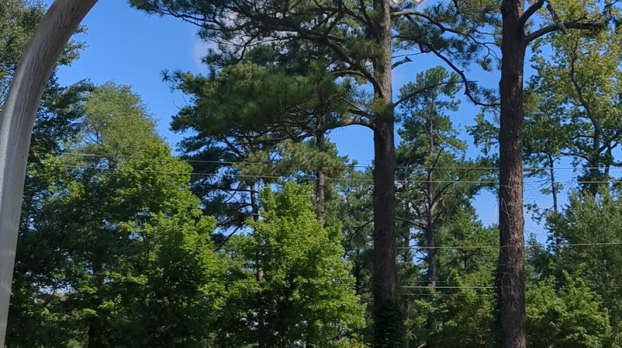 Oval Drive Park