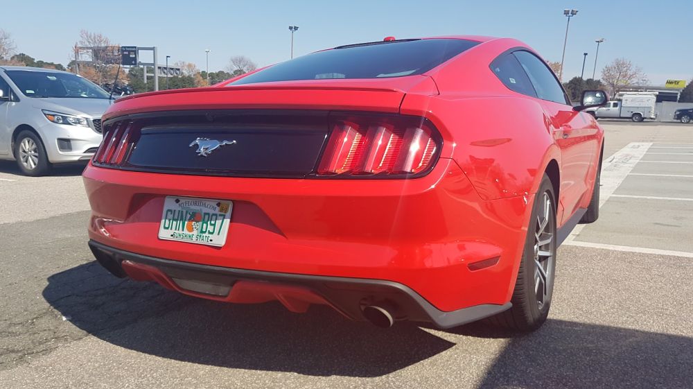 Avis Car Rental