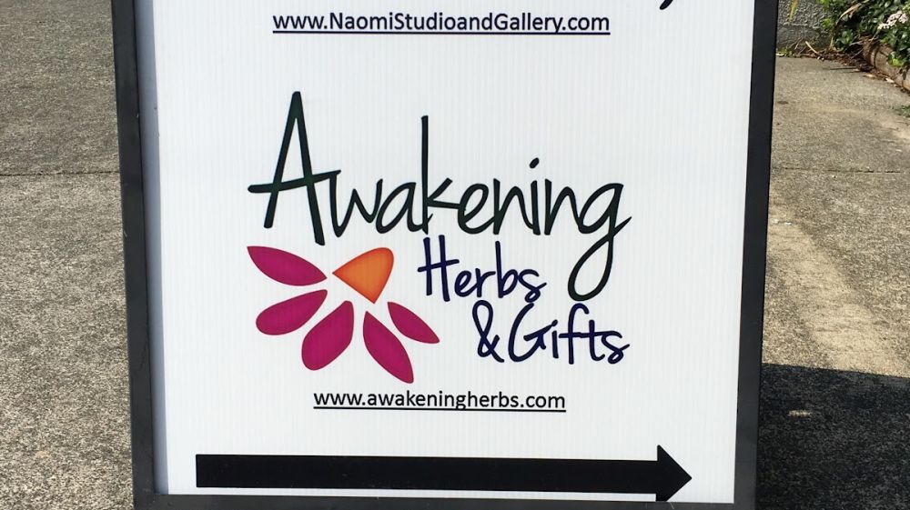 Naomi Studio and Gallery