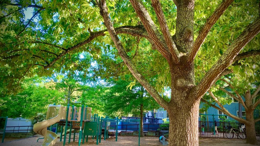 Trinity Park