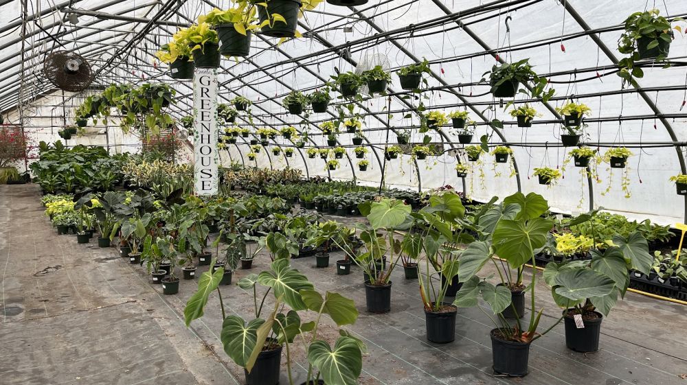 Gunters Greenhouse
