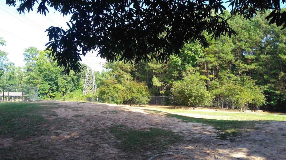 Piney Wood Park
