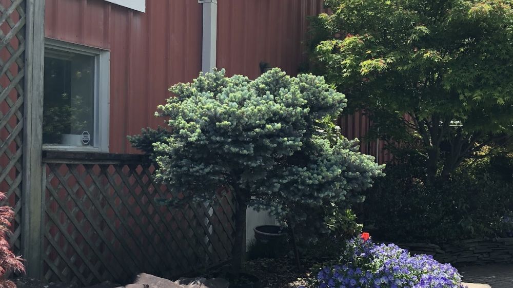 Red Mill Landscaping & Nursery