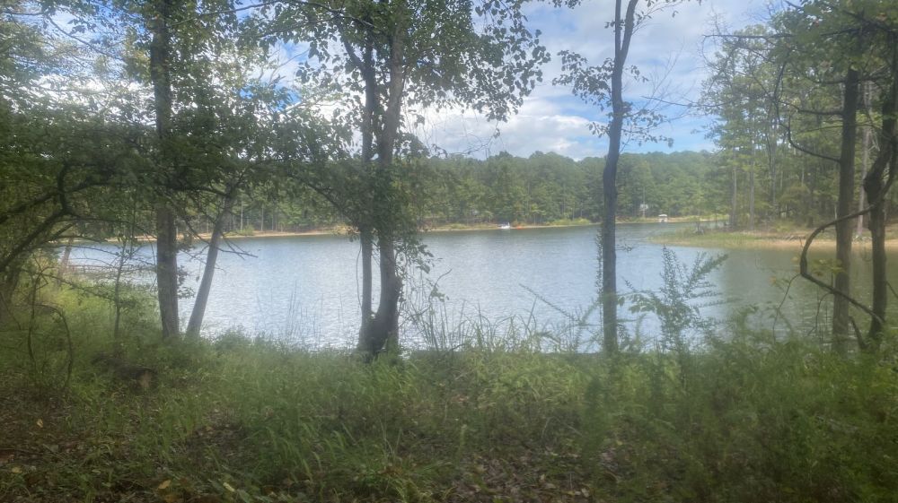 Jordan Lake State Recreation Area