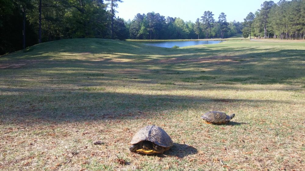 Falls Village Golf Club