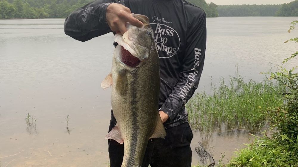 Little River Fishing Facility