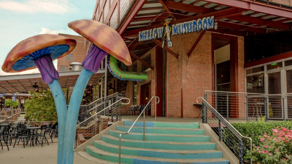 Mellow Mushroom