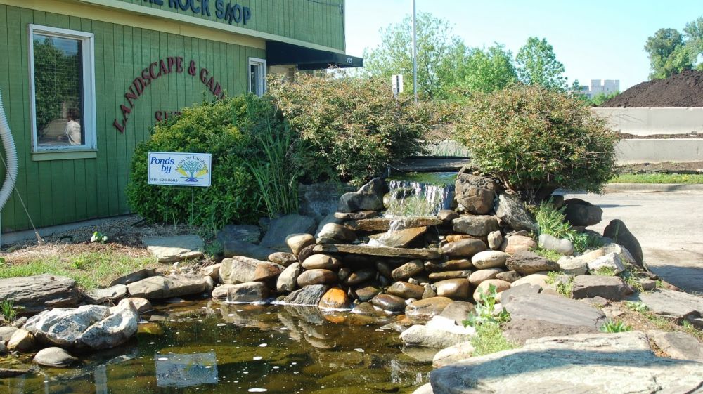 The Rock Shop