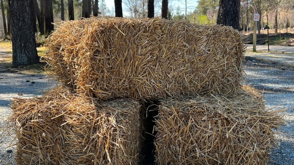 Red Mill Landscaping & Nursery