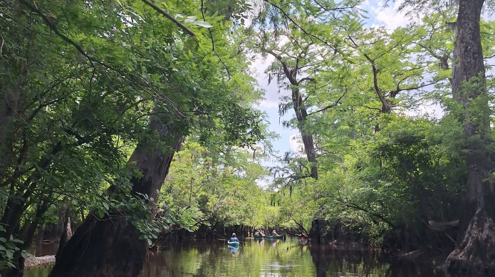 Frog Hollow Outdoors
