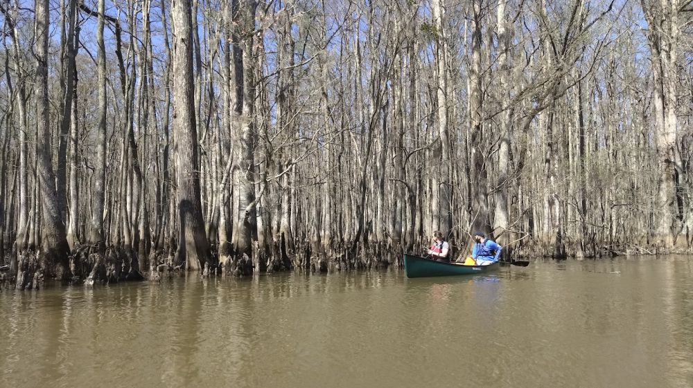 Frog Hollow Outdoors