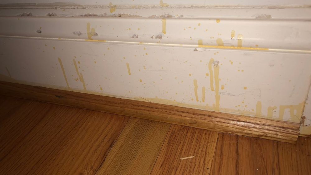 Accent Hardwood Flooring | Discover Durham