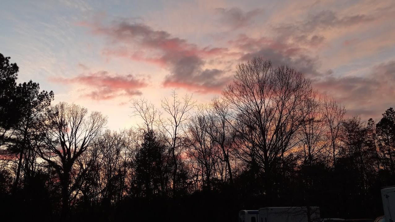 Triangle Jiu Jitsu Academy Discover Durham