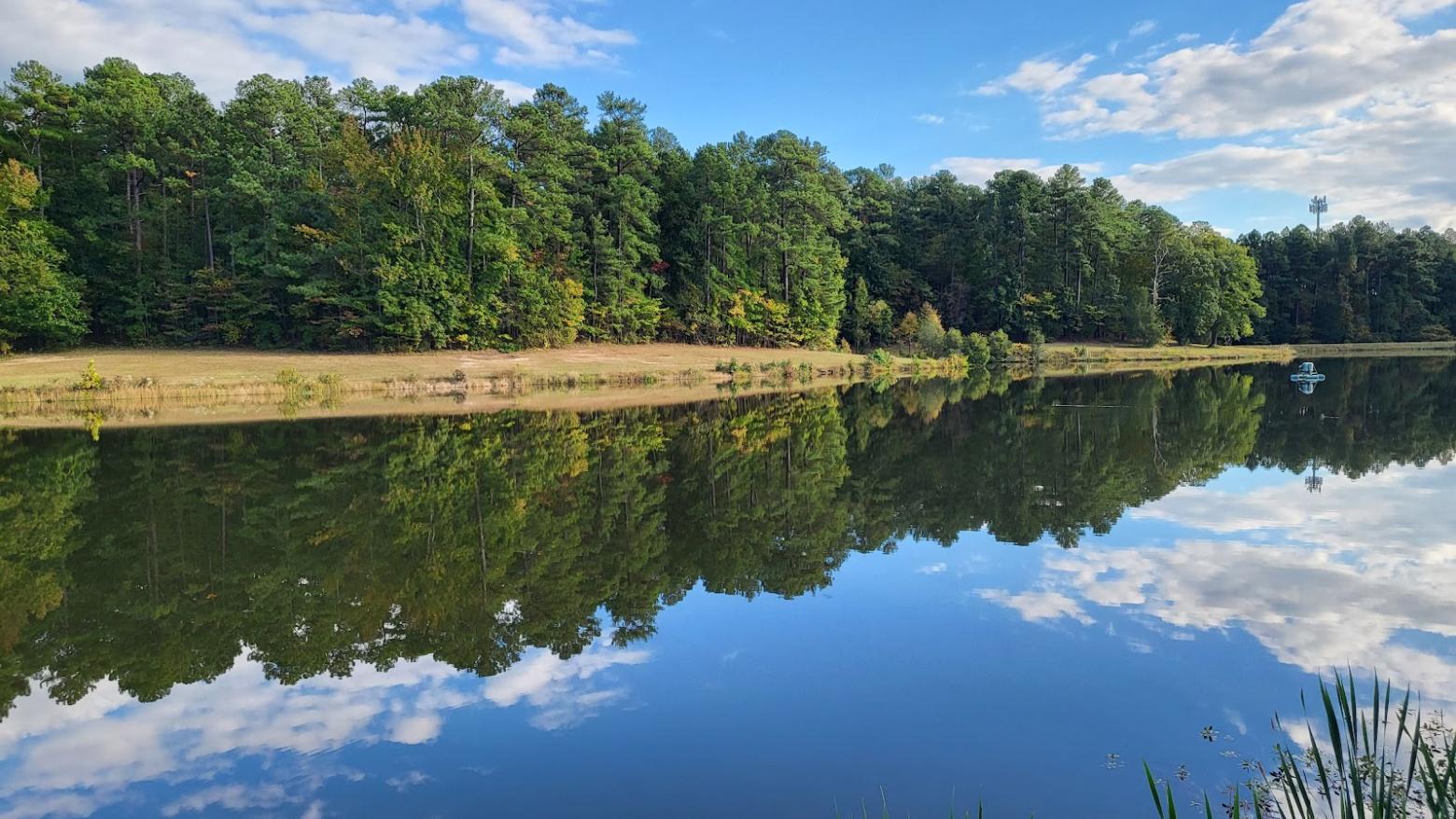 Durham County Wildlife Club | Discover Durham