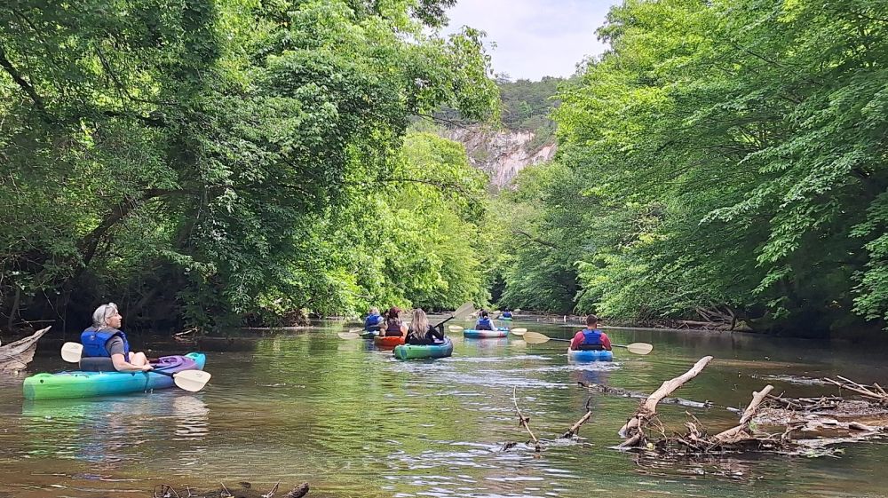 Frog Hollow Outdoors