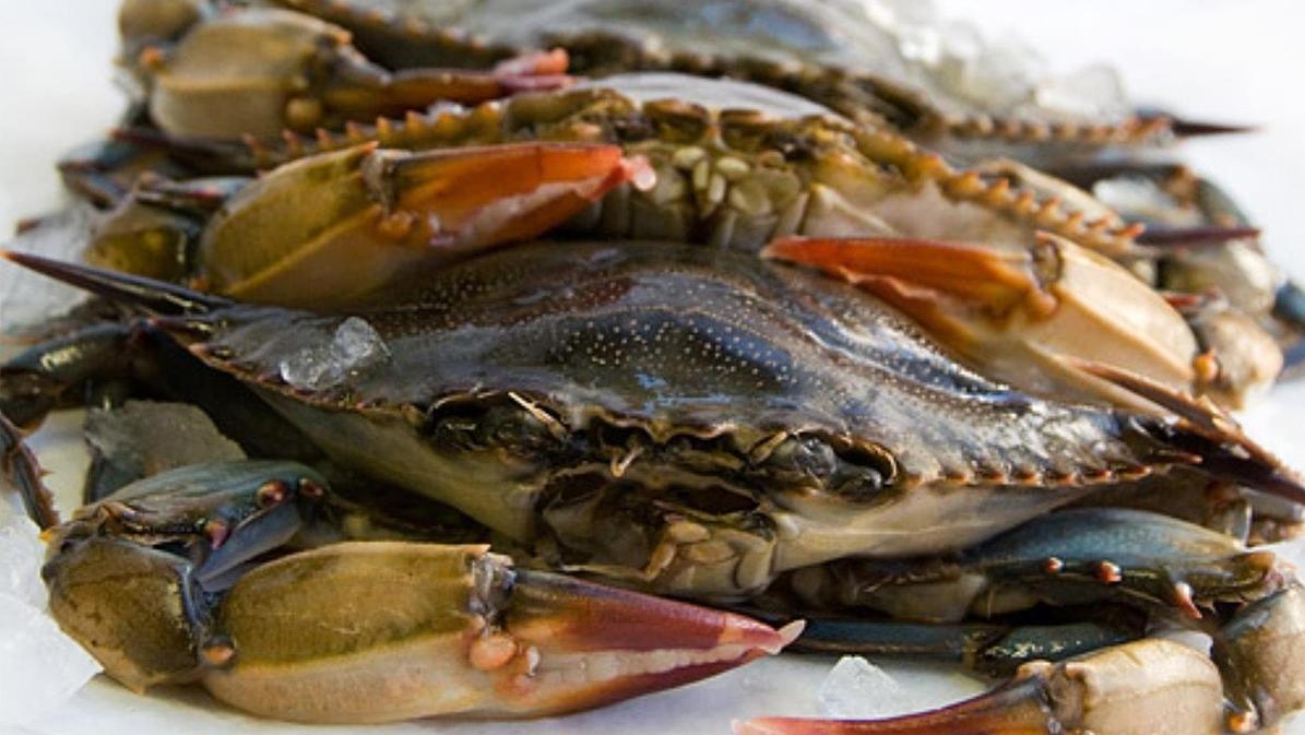Capital Seafood | Discover Durham