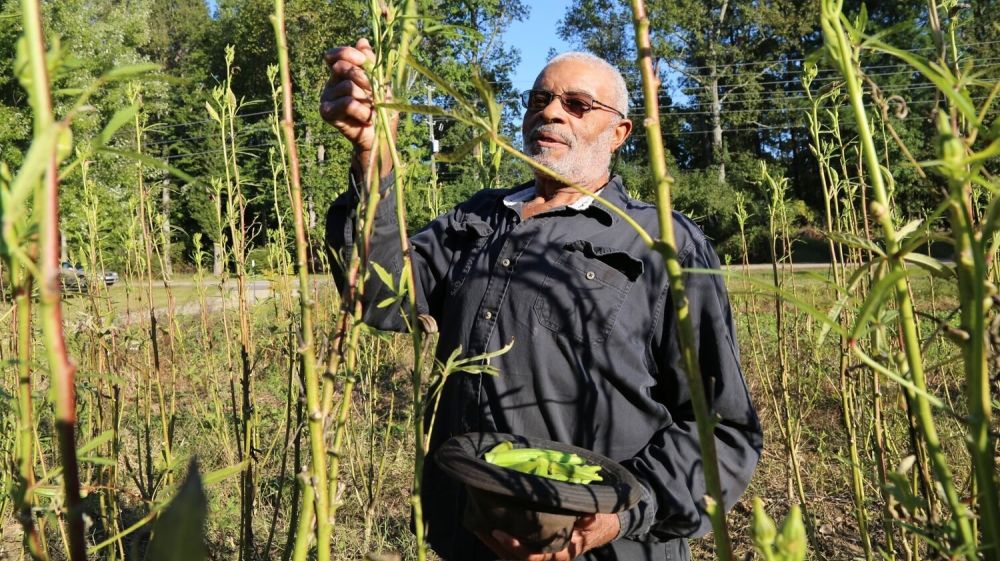 Tall Grass Food Box