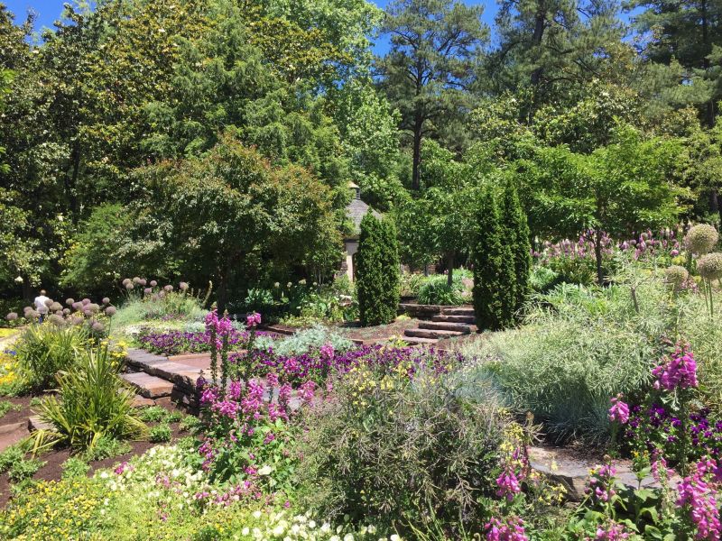 Blooms and greenery lining paved pathways at Duke Gardens.
