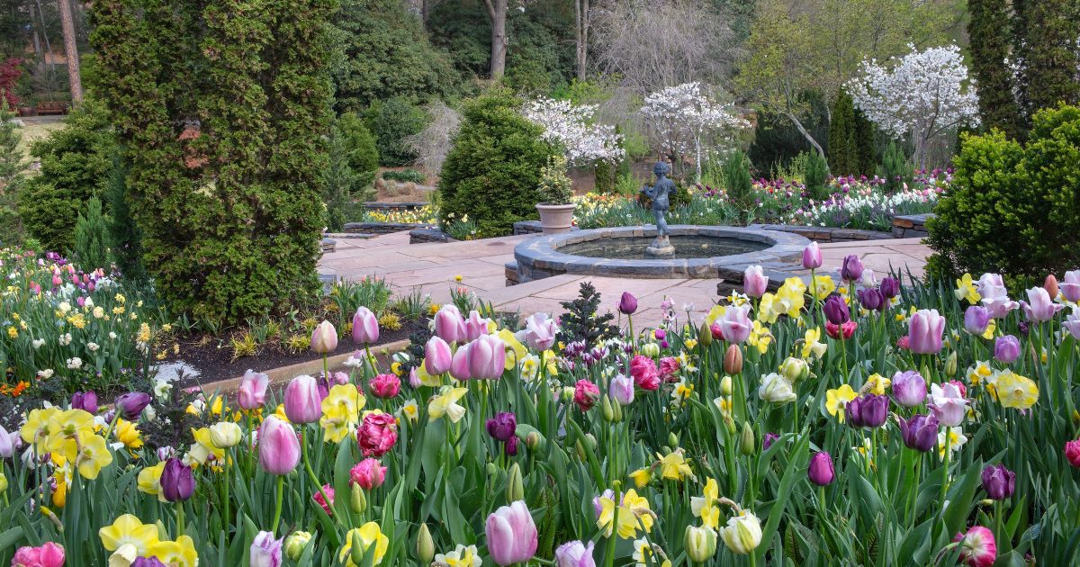 A Guide to Sarah P. Duke Gardens Discover Durham