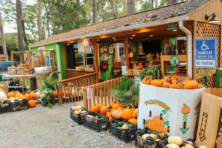 Pumpkins pile up high in front of the green shop front of Perkin's Orchard in Durham, NC.
