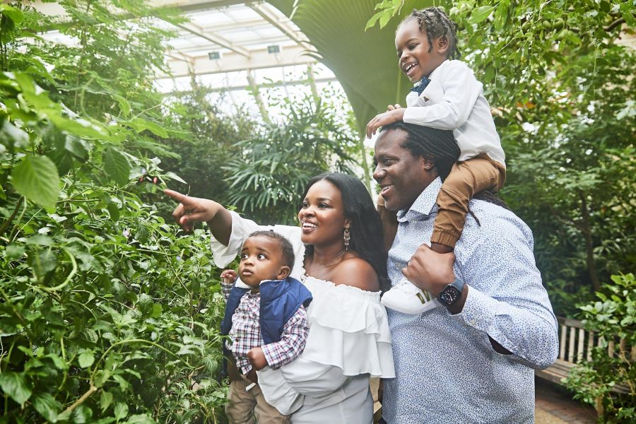 A man and woman with two children stand among plants in the glass butterfly house at Durham's Museum of Life and Science