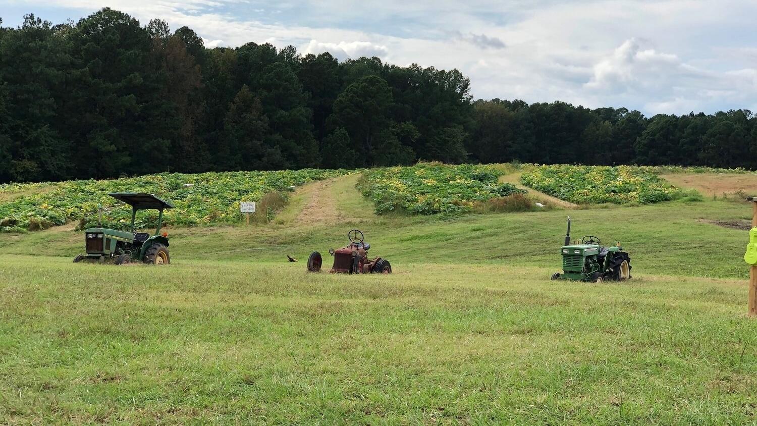 Holder Hill Farm Discover Durham